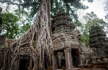 6-hour Personalized Angkor Sunrise & Private Tour