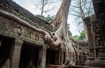 6-hour Personalized Angkor Sunrise & Private Tour