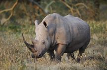 5 Day Serengeti to Ngorongoro Tanzanian Safari Tour
