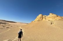El Fayoum Oasis and Wadi Rayan Waterfall Private Tour from Cairo