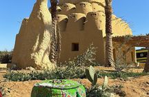 El Fayoum Oasis and Wadi Rayan Waterfall Private Tour from Cairo