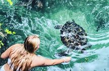 Baraka Aquarium and Dolphin Sightseeing with Sunset Cruise 