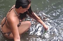 Baraka Aquarium and Dolphin Sightseeing with Sunset Cruise 