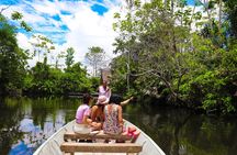 4-Day All-Inclusive Amazon Adventure: Explore Napo's Rainforest