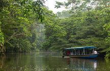 4-Day All-Inclusive Amazon Adventure: Explore Napo's Rainforest