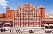 Private 4-Day Tiger Safari & Golden Triangle Tour from Delhi