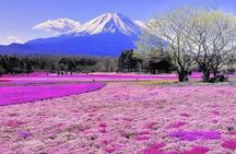 Private Mount Fuji and Hakone One Day Tour