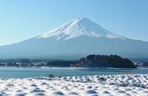 Private Mount Fuji and Hakone One Day Tour