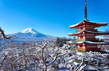 Private Mount Fuji and Hakone One Day Tour