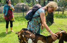 Explore Jaffna during a Private Motorcycle Tour