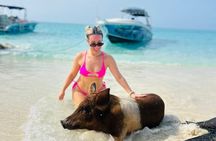 Perfect Day - Pigs, Turtles, Snorkel & Lunch