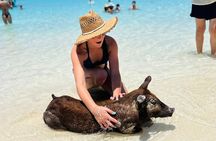 Half Day - Pigs, Turtles, Snorkel & Lunch