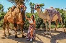 Fun Camel Ride and UTV COMBO with Tequila Tasting!