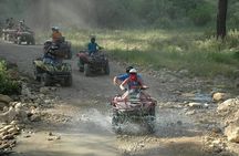 Quad Safari from Side