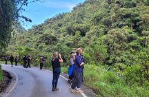 3 Days Amazon Jungle Tour in Manu Peru