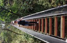 Rincon volcano hike +Waterfall swim + Hot springs+ lunch buffet