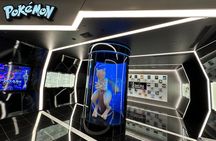 Private Car Tour for Anime Manga Game and Otaku Tour in Tokyo