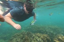 Maya Bay Phi Phi Island Snorkeling Day Tour with lunch - Phuket 