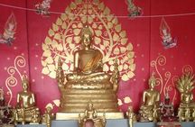 Big Buddha &Tiger Park & Monkey Hill ViewPoint & Phuket Old town