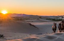 Immersive Mongolian Gobi experience, Camel, Cousine, Stargaze, 2D