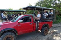 Wilpattu National Park Leopard safari from Colombo/Negambo