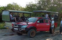 Wilpattu National Park Leopard safari from Colombo/Negambo