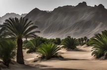 Experience the Oasis City: Al Ain Tour with Lunch"