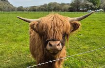Invergordon shore excursion - Private Scenic Loch Ness Tour