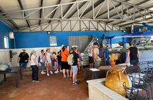 Private Half Day Oil Tour in Limbadi