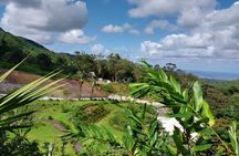 Private Tour in South of Mauritius