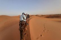 3-Day Desert Tour from Marrakech to Marzouga