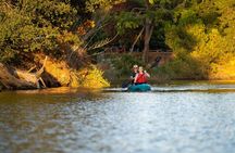 Water To Vine! Kayak Tour Explores Luxury of Nature @ Napa Valley