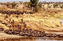 3 Days Private Maasai Mara Safari