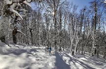 Private Winter Trekking Experience in Bariloche