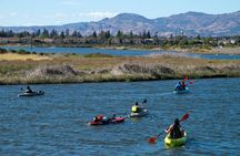 Water To Vine! Kayak Tour Explores Luxury of Nature @ Napa Valley