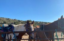 Grand Canyon Horseback Tour