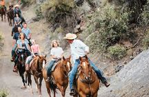 Grand Canyon ATV Tour + Horseback Riding Tour