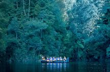 Tauranga Daytime Scenic Lake McLaren Tour