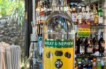 Bob Marley Nine Mile Private Tour from Montego Bay