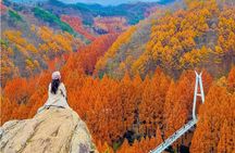 Suwon Hwaseong Fortress & Jangtaesan Full-Day Tour: Autumn Leaves