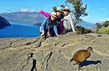 Mou Waho Island Cruise & Self-Guided Nature Walk
