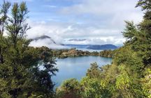 Mou Waho Island Cruise & Self-Guided Nature Walk