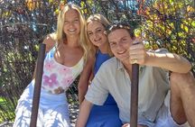 Experience SA Shared Barossa Wine Tour- Pickup from Adelaide CBD