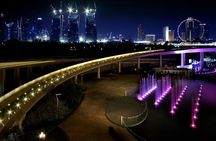 Singapore Private Night Cycling with Dinner