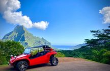 Private Guided Tour around the Moorea Island