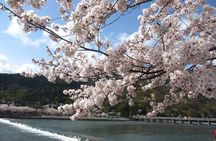 Kyoto Bus Tour: Arashiyama, Kinkaku-ji, Fushimiinari Shrine