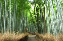 Kyoto Bus Tour: Arashiyama, Kinkaku-ji, Fushimiinari Shrine
