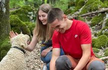  Truffle Hunting in Velebit with Gastronomic Experience