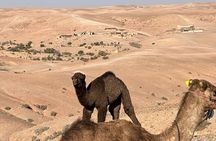 Private Camel Ride in Agafay Desert with Dinner Included 