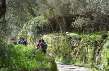 Eco Hiking and Wine Tasting in Cinque Terre
